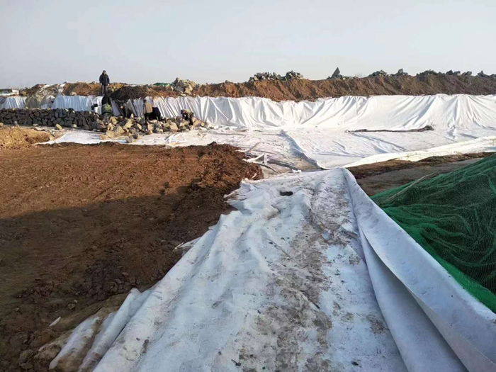 1704373299312348.jpg 18.jpg